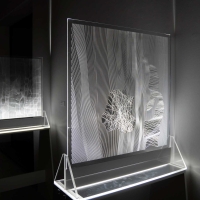 FENY   TORESEK Net 94